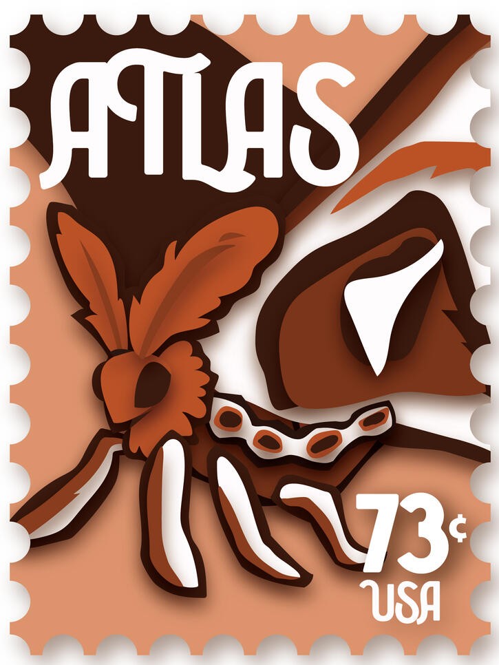 2/3, the atlas moth.