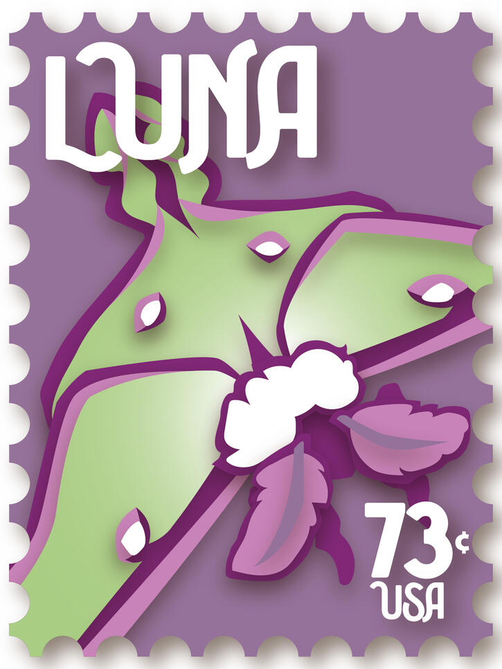 3/3, the luna moth.