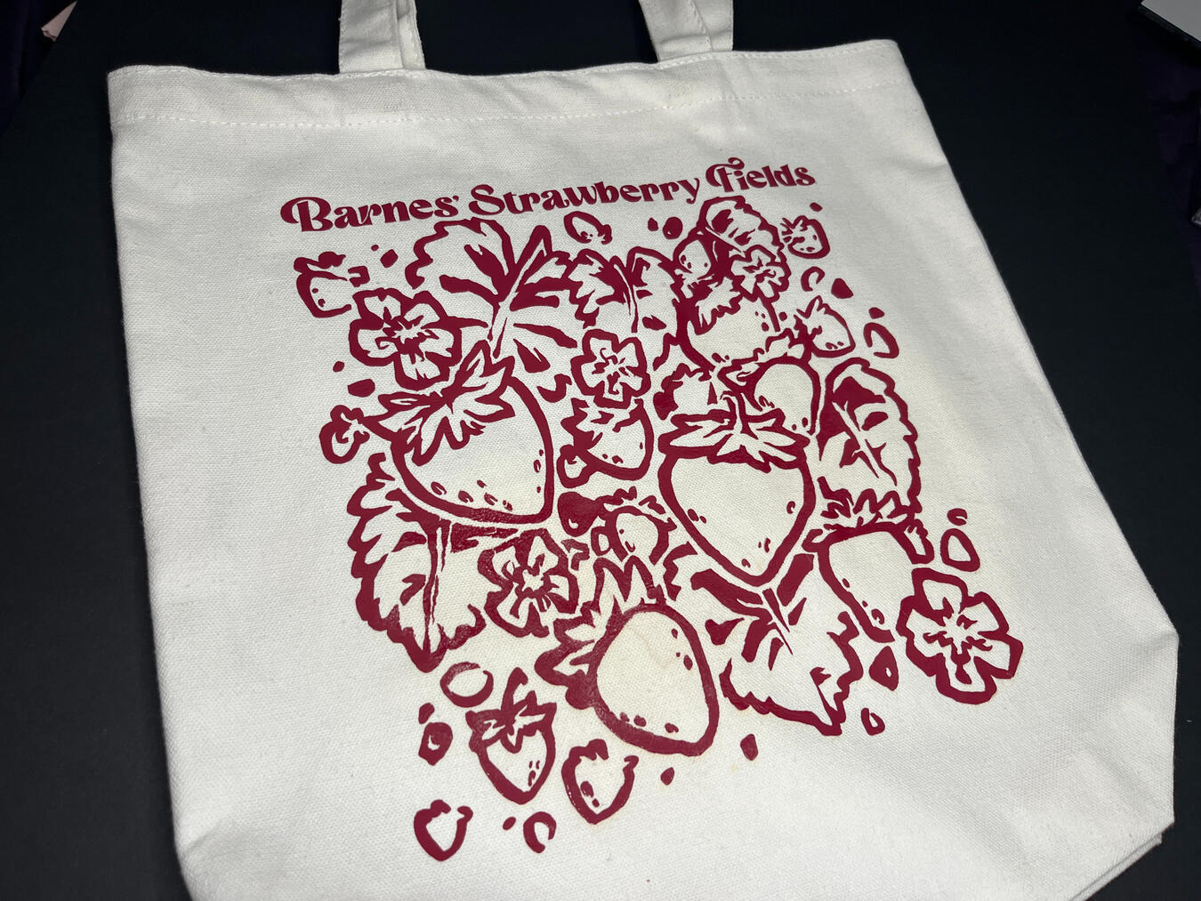2/2, mockup of a tote bag that would be sold here. Material is vinyl ironed onto a cotton bag.