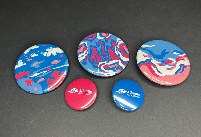 4/11, button pins of ocean related imagery. "Atlantic Sanctuary" is a fictional aquarium made for this project.